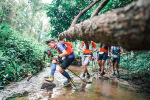 BIB: 
                            <button type="button" onclick="openModal(25372292)" class="btn btn-primary btn-sm float-right btn-popup" data-toggle="modal" data-target=".modal-high-quality">
                        <i class="fas fa-shopping-cart"></i> Add to Cart
                    </button>
                                            <button type="button" onclick="isThisMe(25372292, true)" class="btn btn-success btn-sm float-right btn-popup btn-isme hidden" data-toggle="tooltip" data-placement="bottom" title="นี่คือรูปของคุณใช่ไหม คลิกที่นี่เพื่อเอาเข้าอัลบั้ม">
                        <i class="fas fa-plus"></i> Add to album
                    </button>
                    <button type="button" onclick="isThisMe(25372292, false)" class="btn btn-warning btn-sm float-right btn-popup btn-isnotme hidden">
                        <i class="fas fa-ban"></i> Remove from album
                    </button>